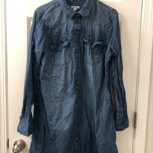 Women's Denim Dress in Size Large